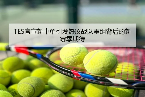TES官宣新中单引发热议战队重组背后的新赛季期待
