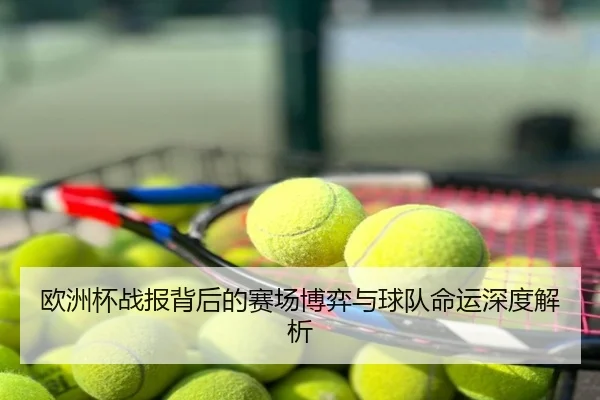 欧洲杯战报背后的赛场博弈与球队命运深度解析
