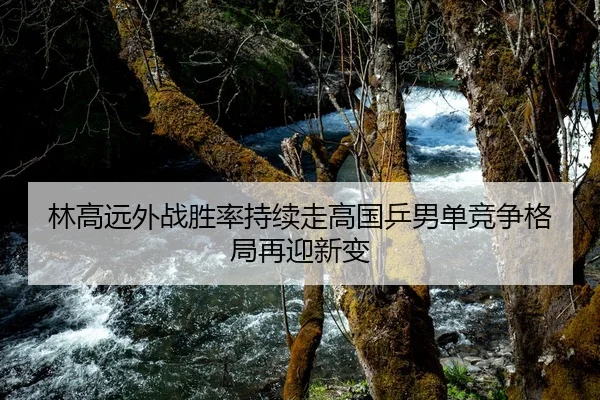林高远外战胜率持续走高国乒男单竞争格局再迎新变